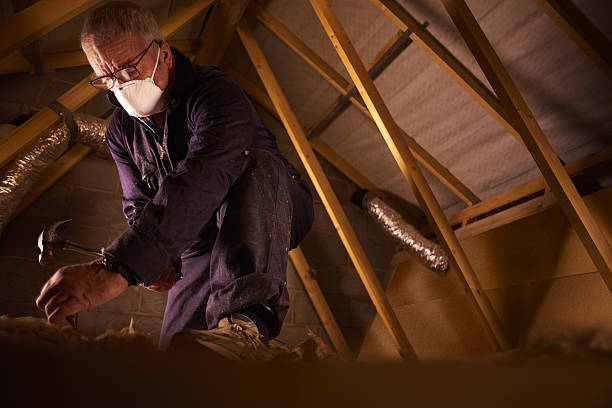 Professional Insulation Contractor in Butler, PA