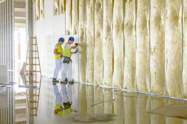 Best Commercial Insulation in Butler, PA